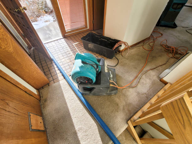 Best Water damage restoration services  in Olivarez, TX