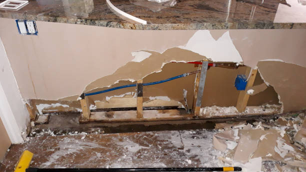 Best Fire Damage Restoration  in Olivarez, TX