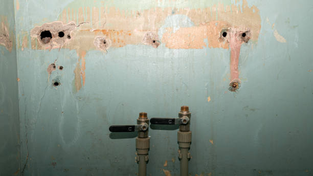 Best Carpet water damage restoration  in Olivarez, TX