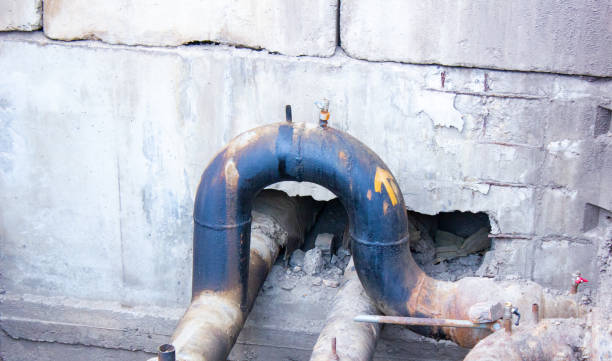 Best Local water damage restoration  in Olivarez, TX