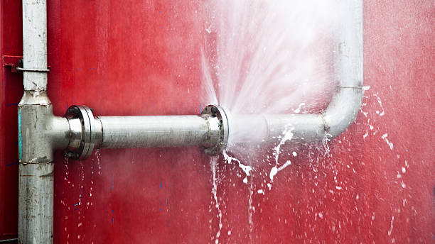 Best Mold removal after water damage  in Olivarez, TX